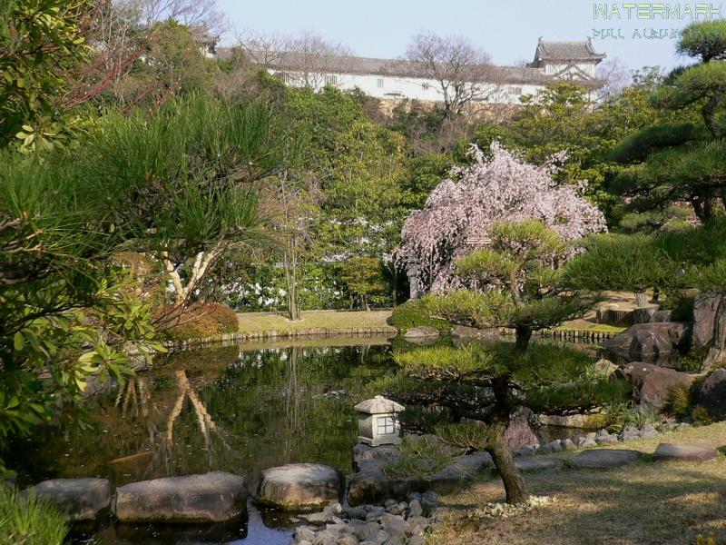 Himeji - jardin - 002