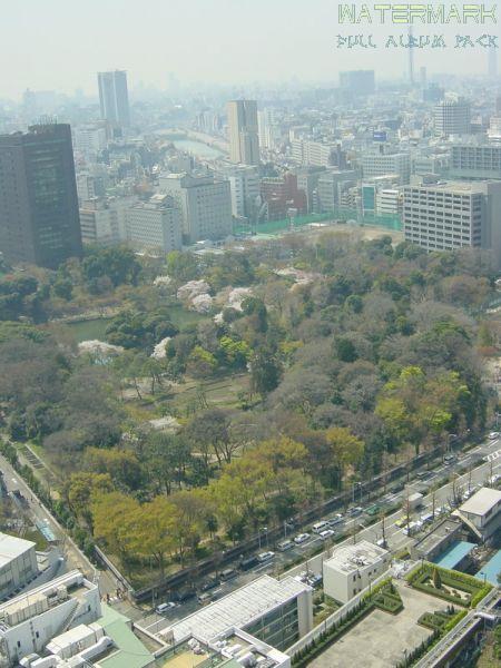 Koishikawa Korakuen - hanami - 1