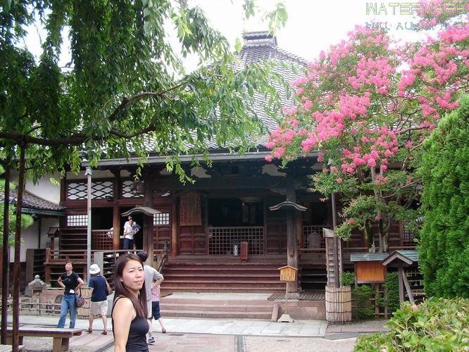 Kanazawa - Myoruji-ji