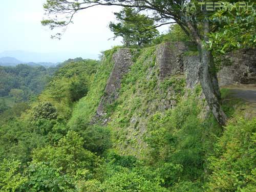 Oka Castle