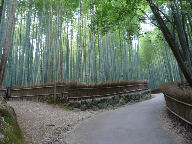 Kyoto - Arashiyama - 005