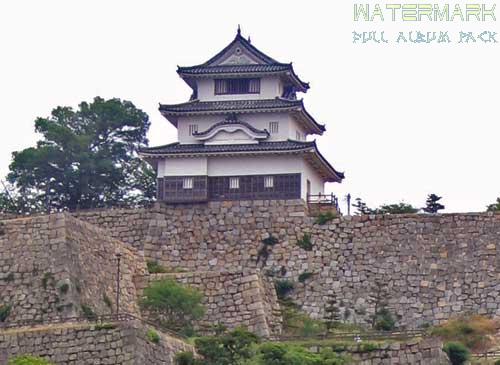 Marugame Castle