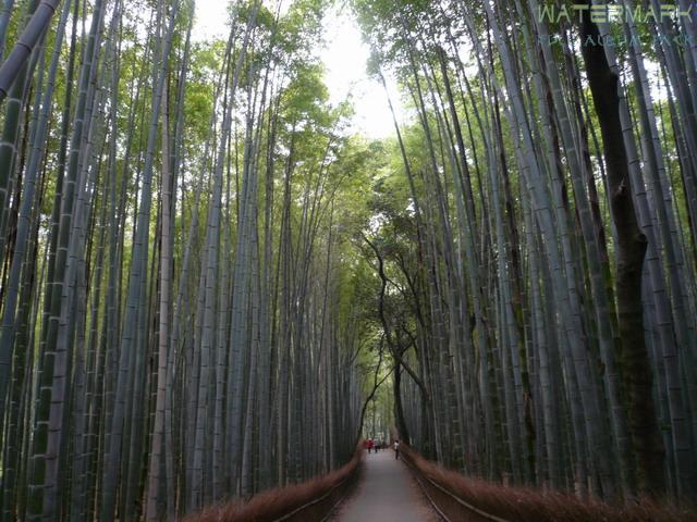 Kyoto - Arashiyama - 004