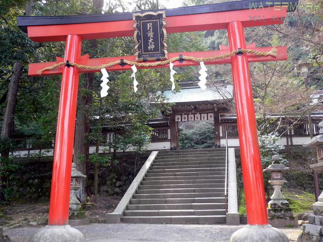 Kyoto - Matsuo jinja - 001