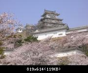 Hanami  Himeji-Jo