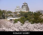 Hanami  Himeji-Jo