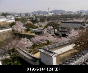 Hanami  Himeji-Jo