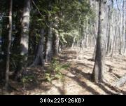 Previous Pictures