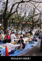 Ueno Koen - hanami - 1