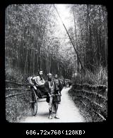 T. Enami - Kyoto - Bamboo Alley