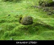 Image 263