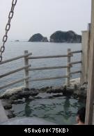 Izu west - 3