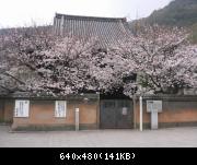 Image 301