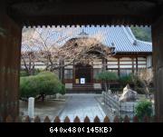 Image 317