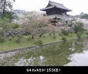 Image 346