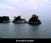 Previous Pictures