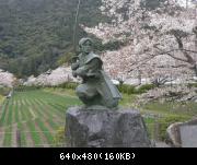 Image 353