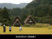 Previous Pictures