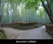 Kyoto - Arashiyama - 005