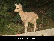 Image 882